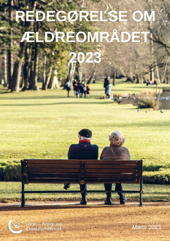 Publikationens forside
