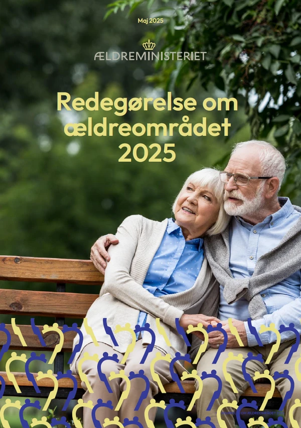 Publikationens forside