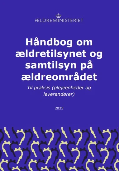 Publikationens forside