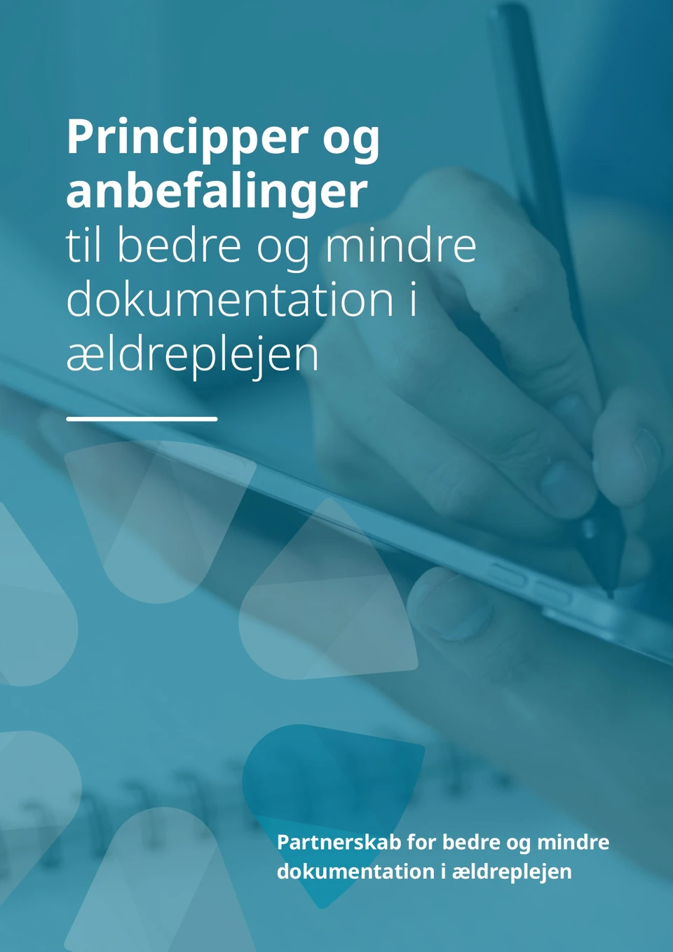 Publikationens forside
